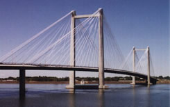 The Tri-Cities Cable Bridge.